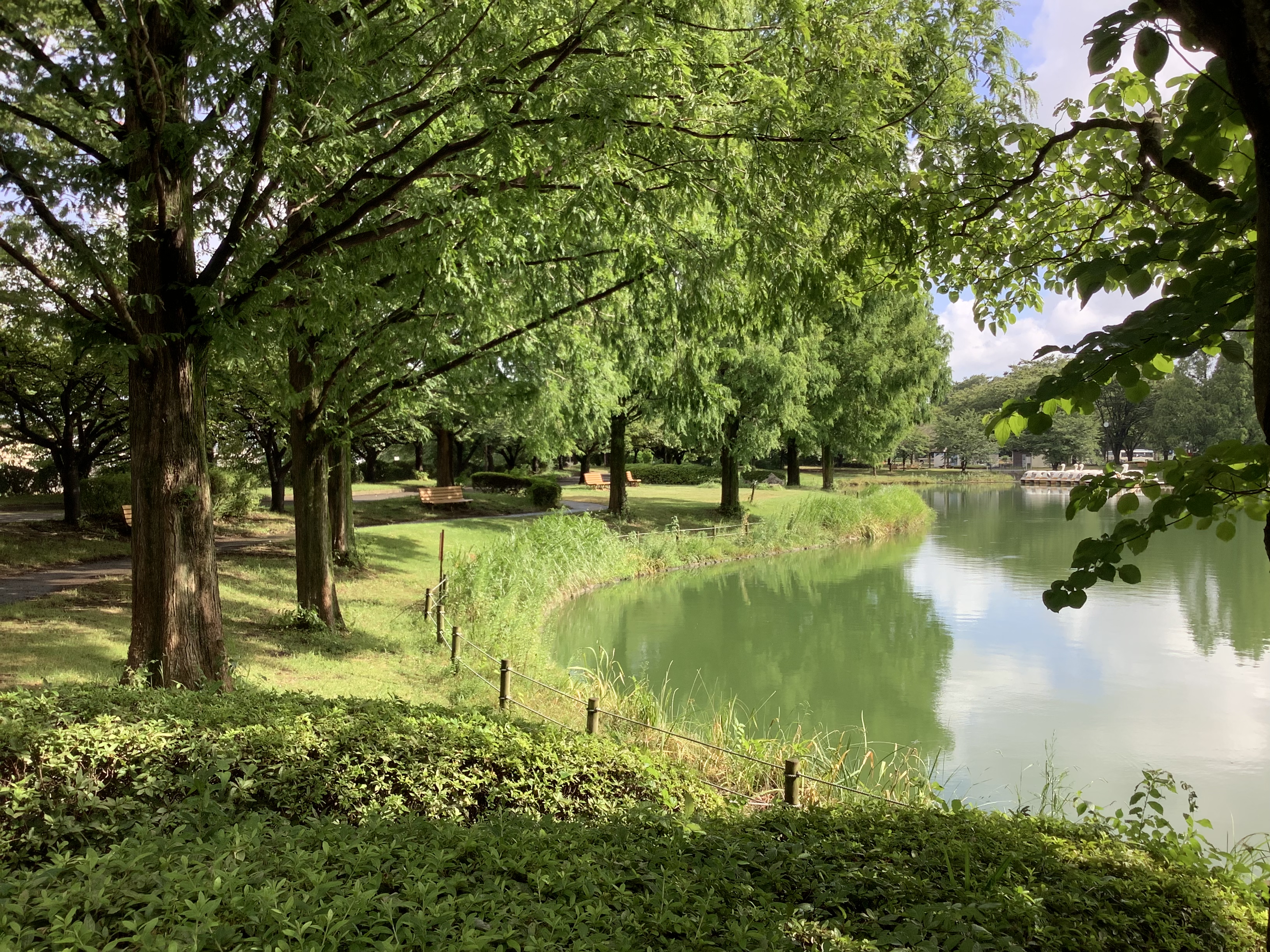 夏の川越水上公園