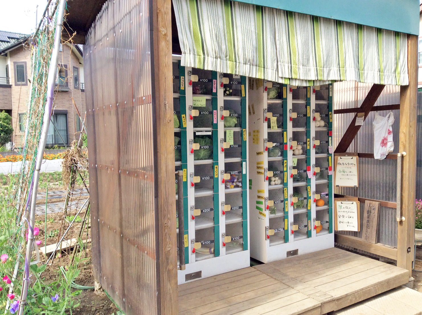 a vending machine for fresh local vegetables