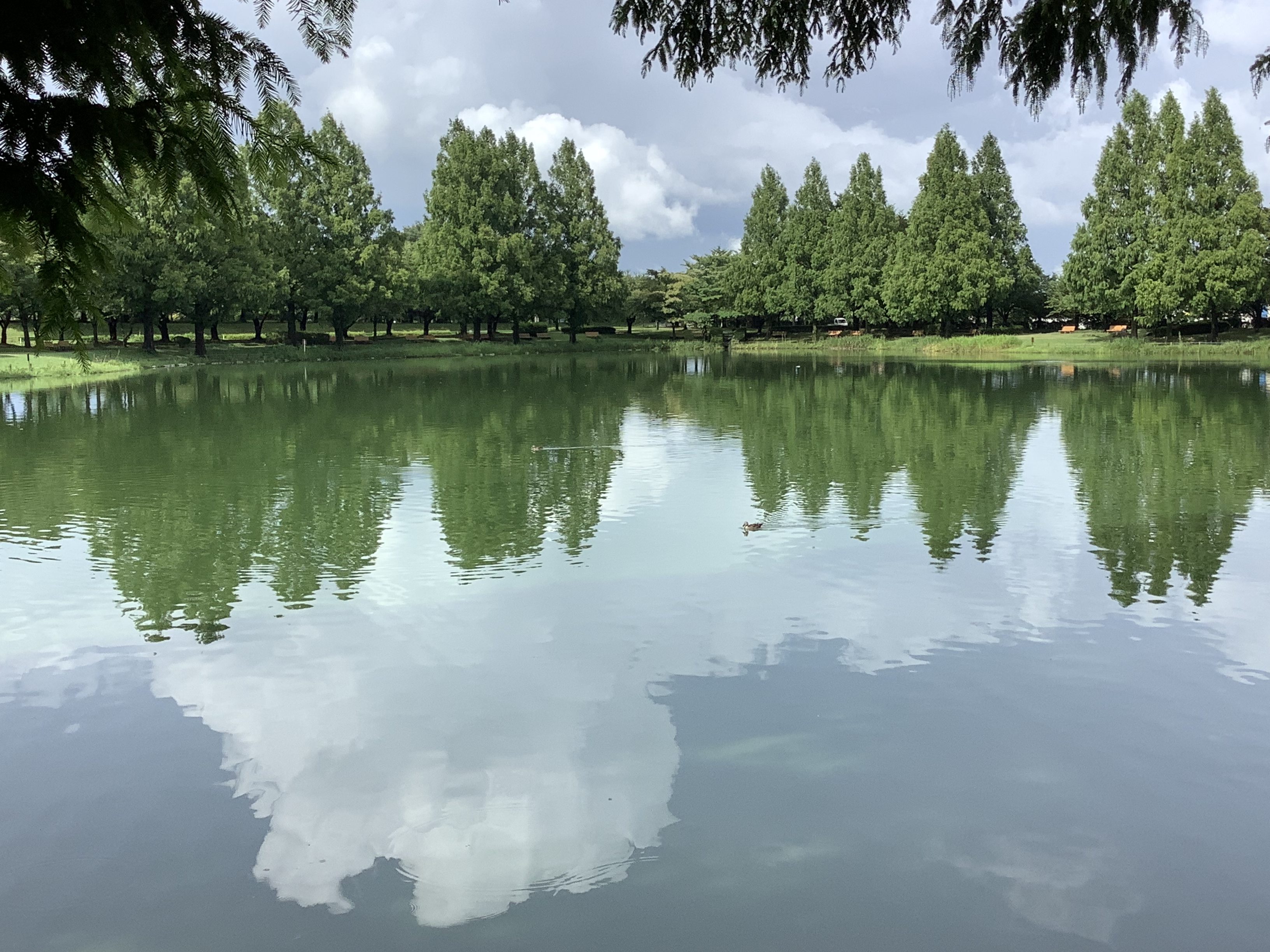 夏の川越水上公園