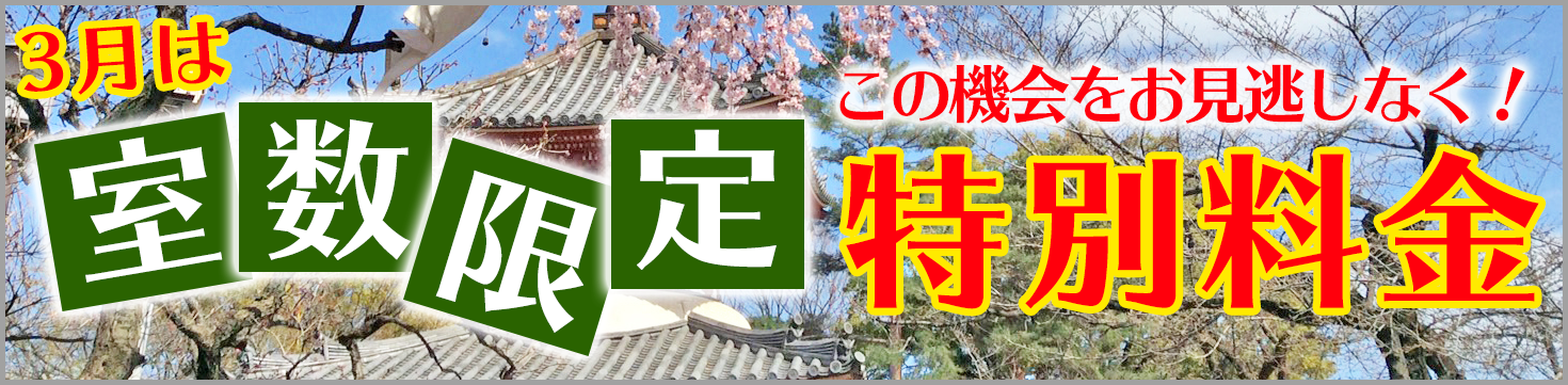 3月は室数限定!特別料金